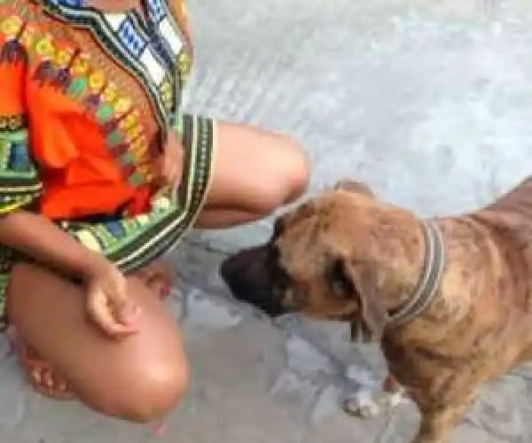 See What Happened thereafter [Download]